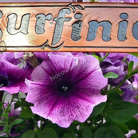 Pokoje Goscinne Surfinia Gdansk Ngoại thất bức ảnh