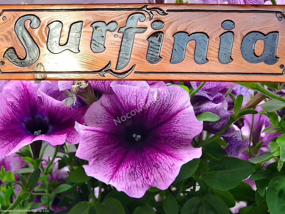 Pokoje Goscinne Surfinia Gdansk Ngoại thất bức ảnh